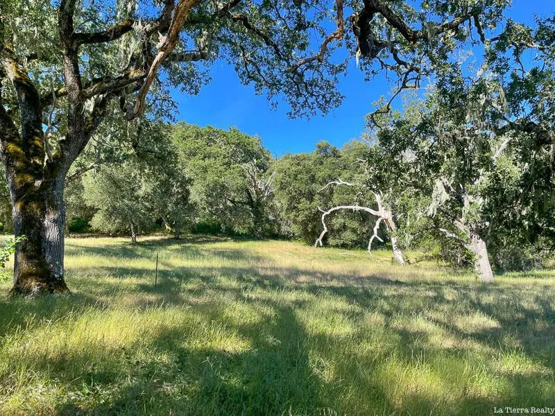 34221 Robinson Canyon Road Carmel, CA 93923