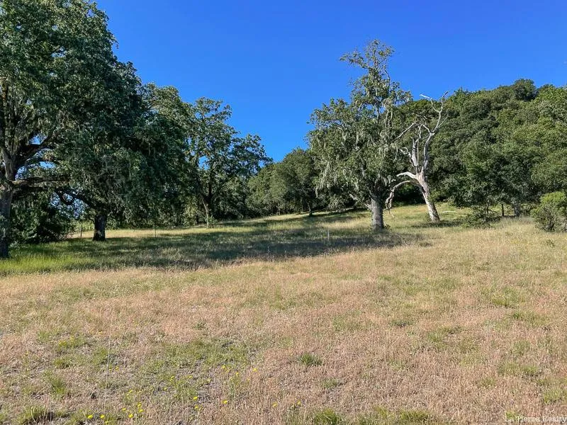 34221 Robinson Canyon Road Carmel, CA 93923