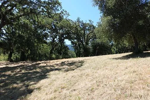 34221 Robinson Canyon Road Carmel, CA 93923