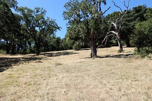 34221 Robinson Canyon Road Carmel, CA 93923