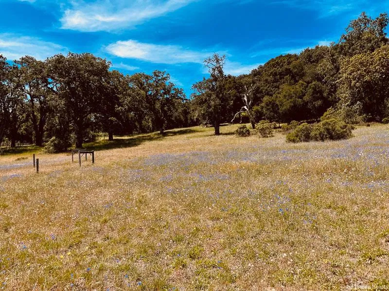 34221 Robinson Canyon Road Carmel, CA 93923