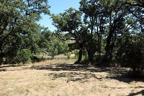 34221 Robinson Canyon Road Carmel, CA 93923