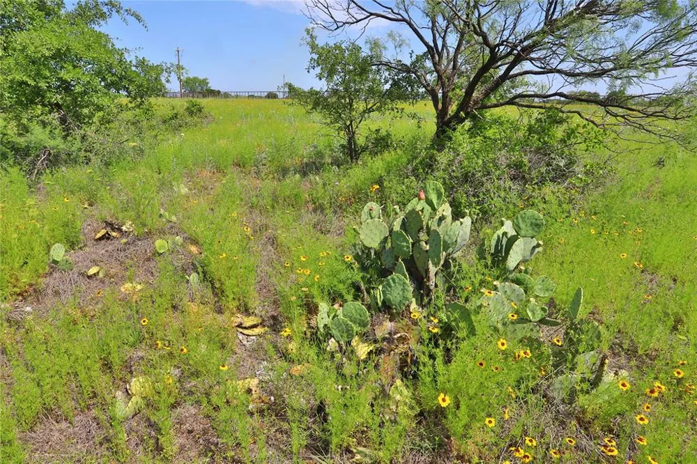 Post Oak Road Gordon, TX 76453