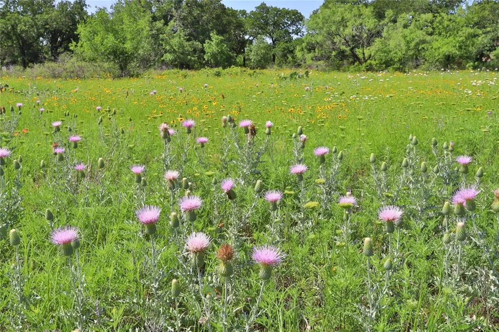 Post Oak Road Gordon, TX 76453