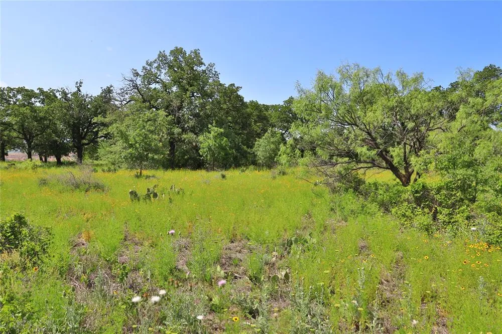 Post Oak Road Gordon, TX 76453
