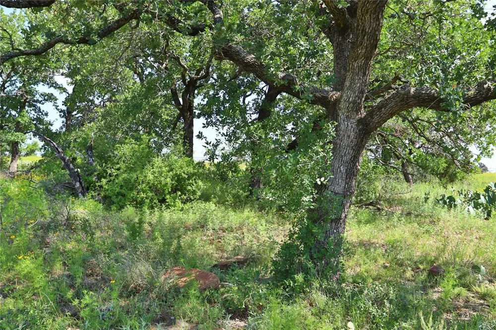Post Oak Road Gordon, TX 76453