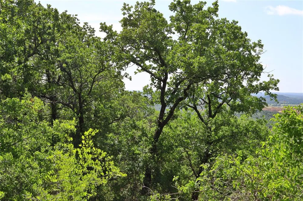 Post Oak Road Gordon, TX 76453