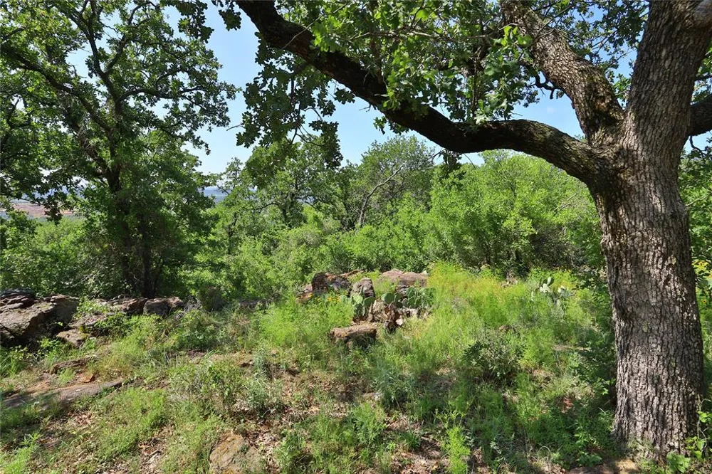 Post Oak Road Gordon, TX 76453