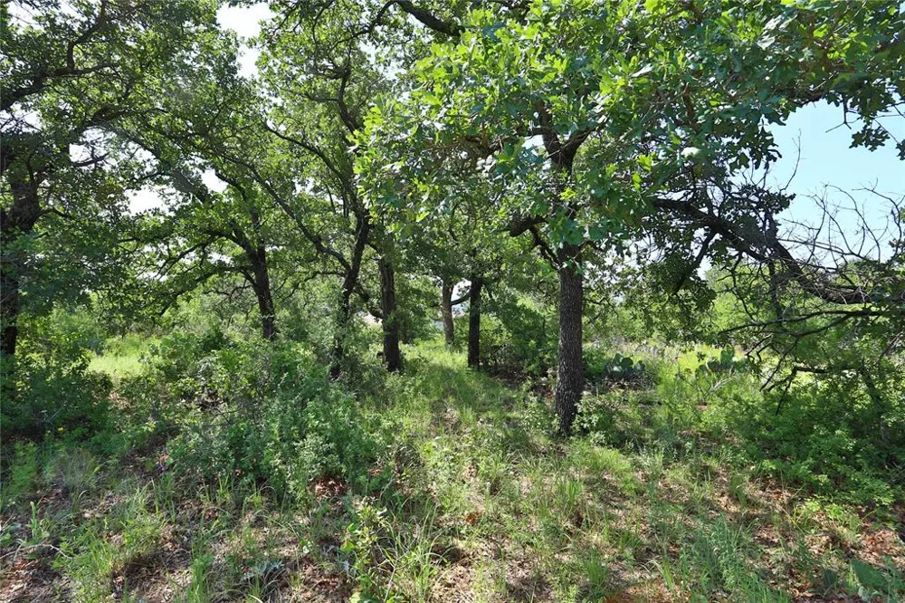 Post Oak Road Gordon, TX 76453