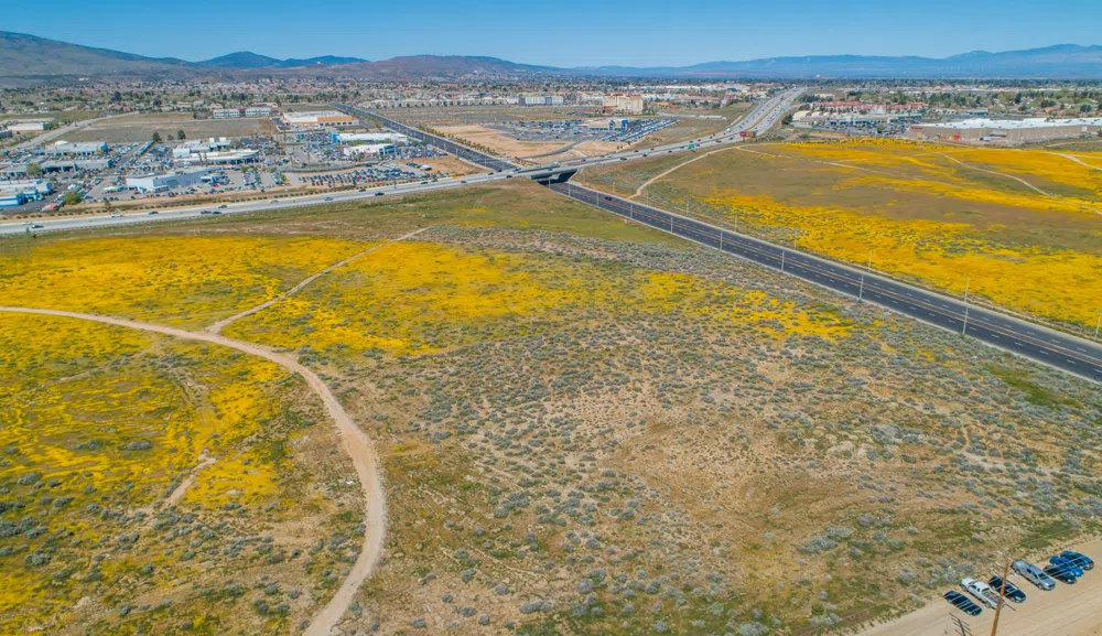 Vac SE Cor Technology Dr Division Palmdale, CA 93550