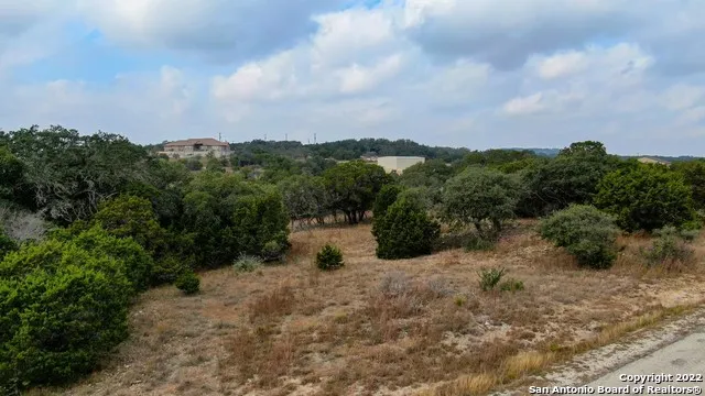 325 Ridge Pt Spring Branch, TX 78070