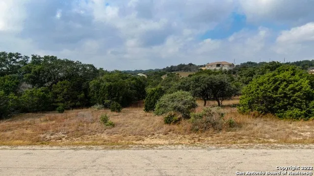 325 Ridge Pt Spring Branch, TX 78070