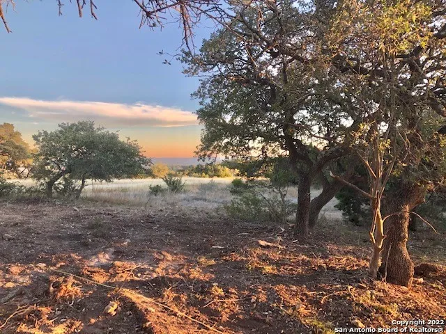 325 Ridge Pt Spring Branch, TX 78070