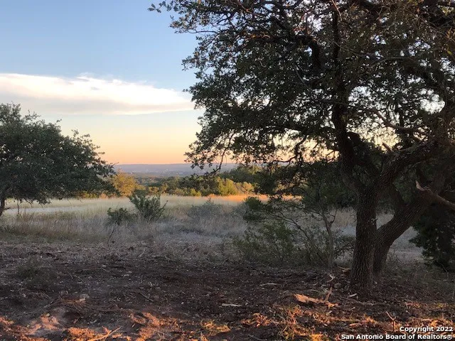 325 Ridge Pt Spring Branch, TX 78070