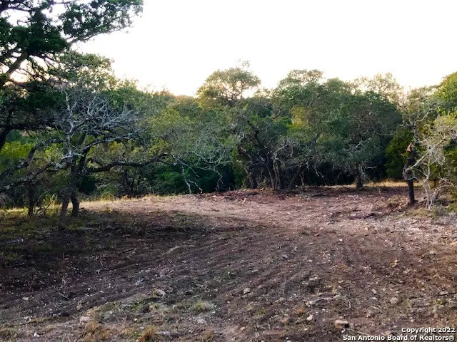 325 Ridge Pt Spring Branch, TX 78070