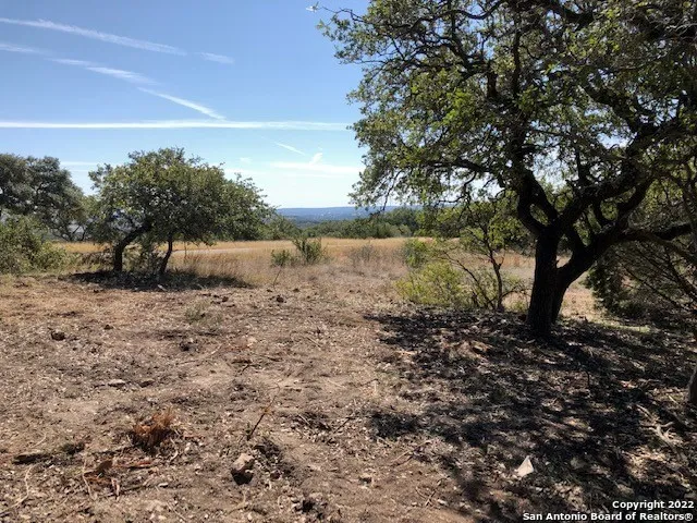 325 Ridge Pt Spring Branch, TX 78070