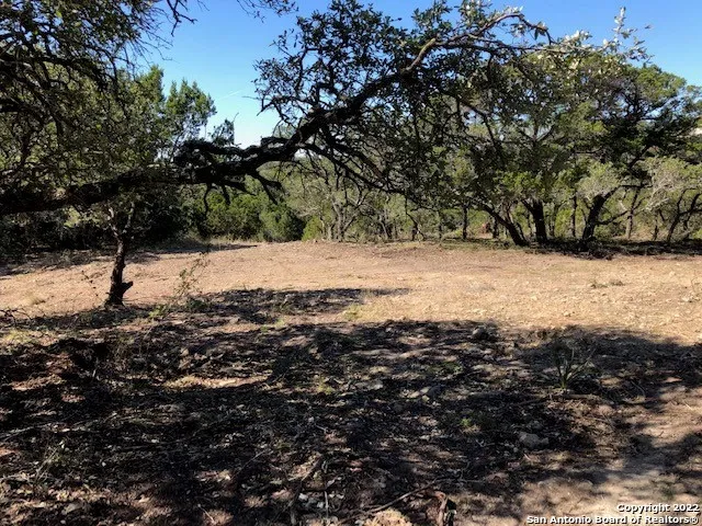 325 Ridge Pt Spring Branch, TX 78070