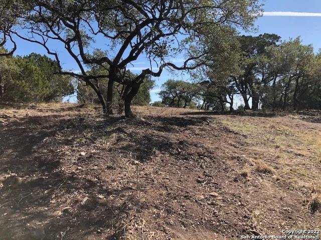 325 Ridge Pt Spring Branch, TX 78070