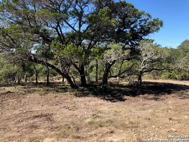 325 Ridge Pt Spring Branch, TX 78070
