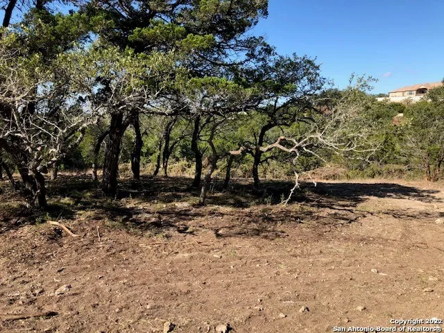 325 Ridge Pt Spring Branch, TX 78070