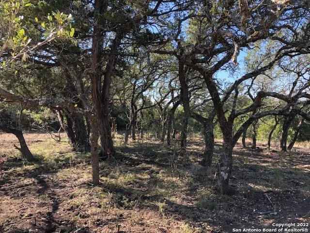 325 Ridge Pt Spring Branch, TX 78070