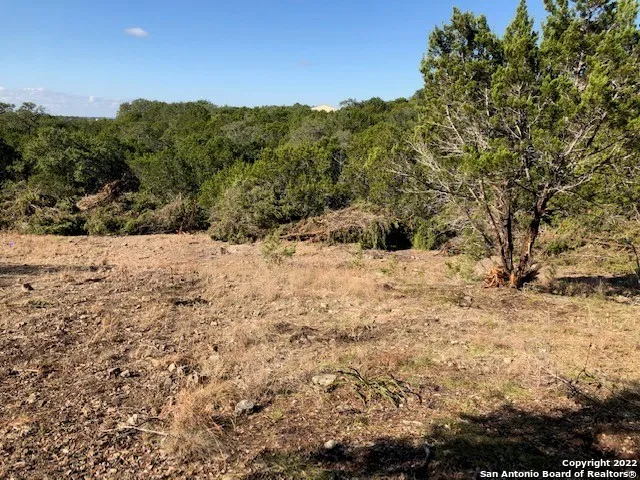 325 Ridge Pt Spring Branch, TX 78070
