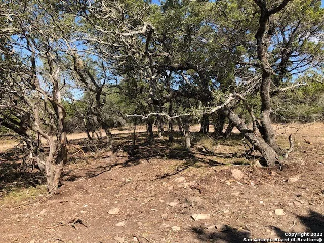 325 Ridge Pt Spring Branch, TX 78070