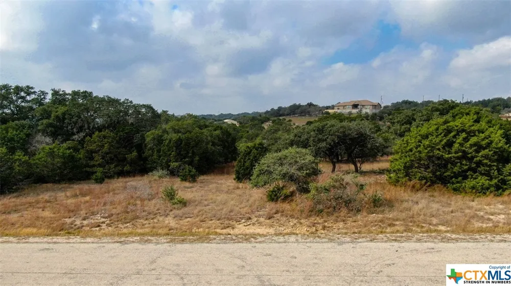 325 Ridge Point Spring Branch, TX 78070
