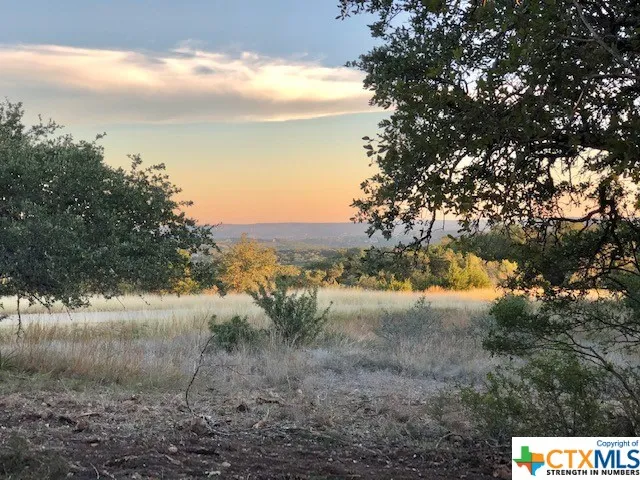 325 Ridge Point Spring Branch, TX 78070
