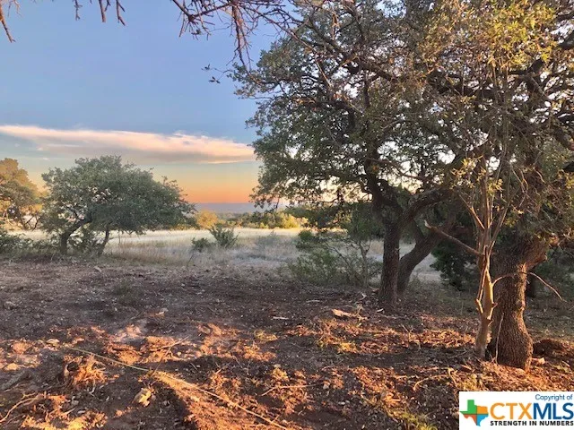 325 Ridge Point Spring Branch, TX 78070