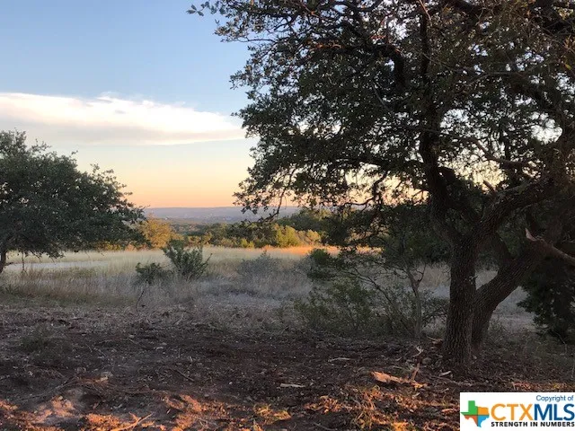 325 Ridge Point Spring Branch, TX 78070