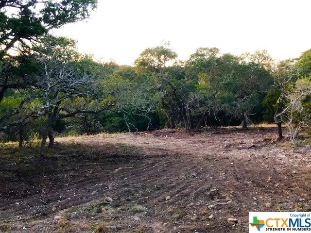 325 Ridge Point Spring Branch, TX 78070