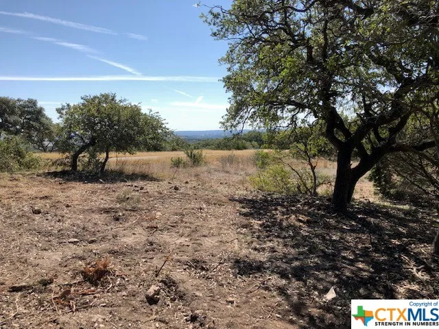 325 Ridge Point Spring Branch, TX 78070