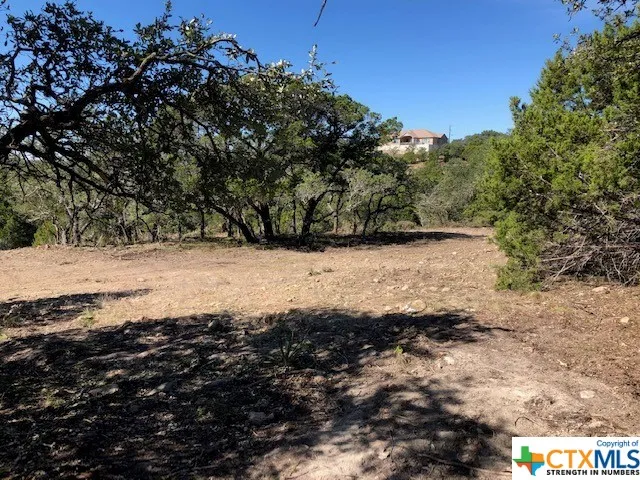 325 Ridge Point Spring Branch, TX 78070