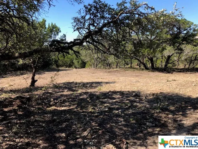325 Ridge Point Spring Branch, TX 78070