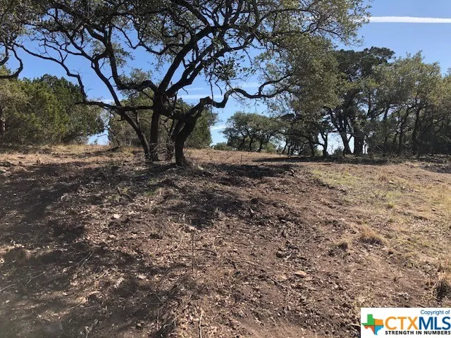 325 Ridge Point Spring Branch, TX 78070