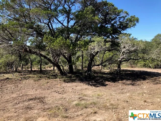 325 Ridge Point Spring Branch, TX 78070
