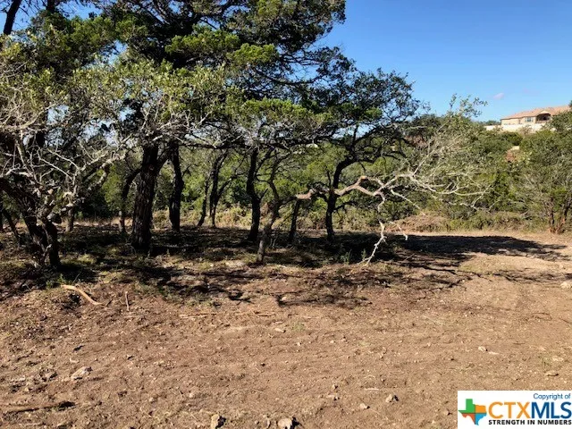 325 Ridge Point Spring Branch, TX 78070