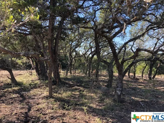 325 Ridge Point Spring Branch, TX 78070