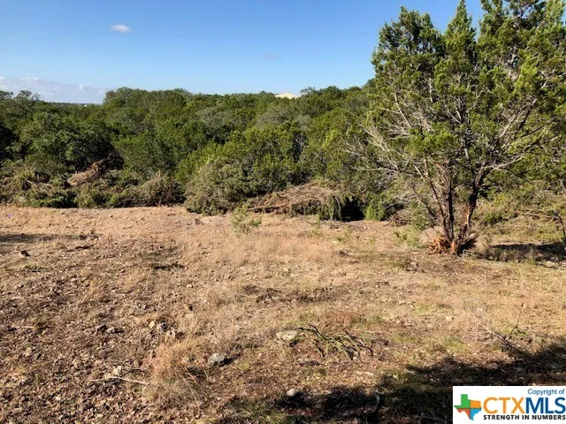 325 Ridge Point Spring Branch, TX 78070