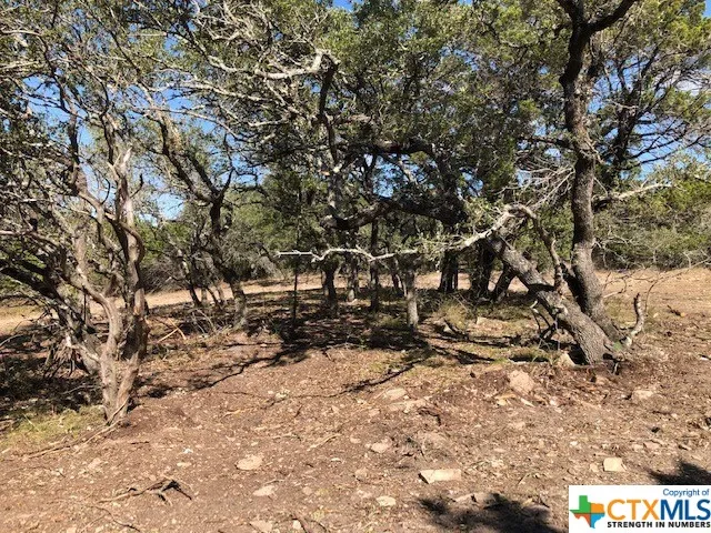 325 Ridge Point Spring Branch, TX 78070