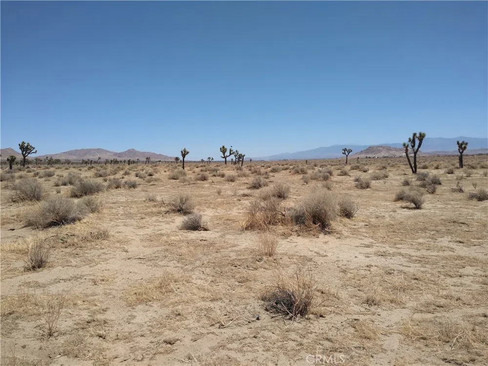 Vicinity Avenue H10 & 145 St E