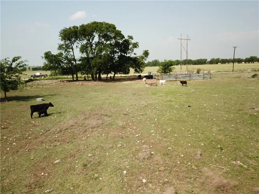 1230 County Road 248 Gatesville, TX 76528