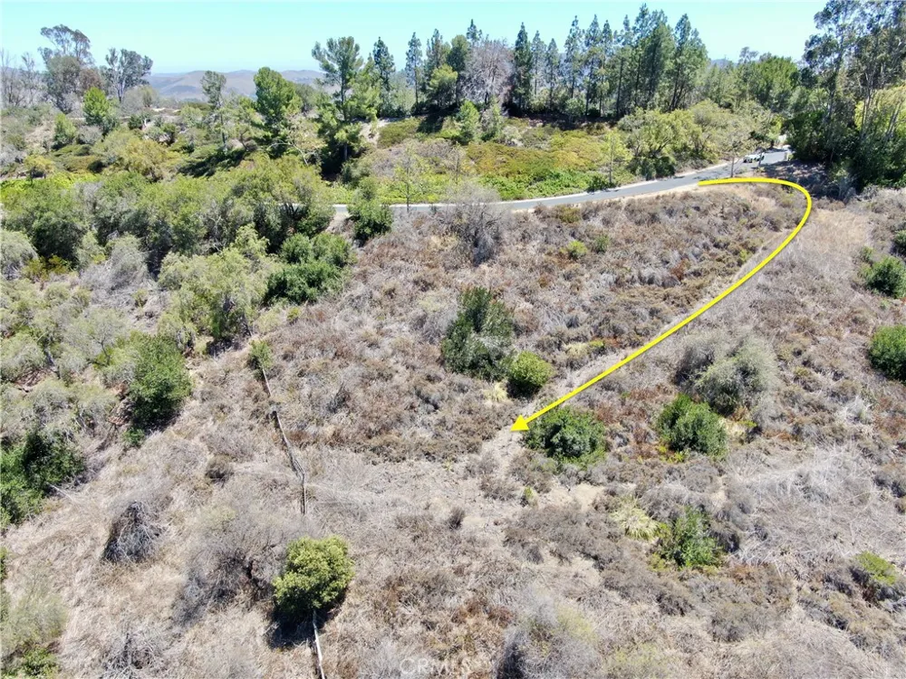 27591 Rolling Wood Lane San Juan Capistrano, CA 92675
