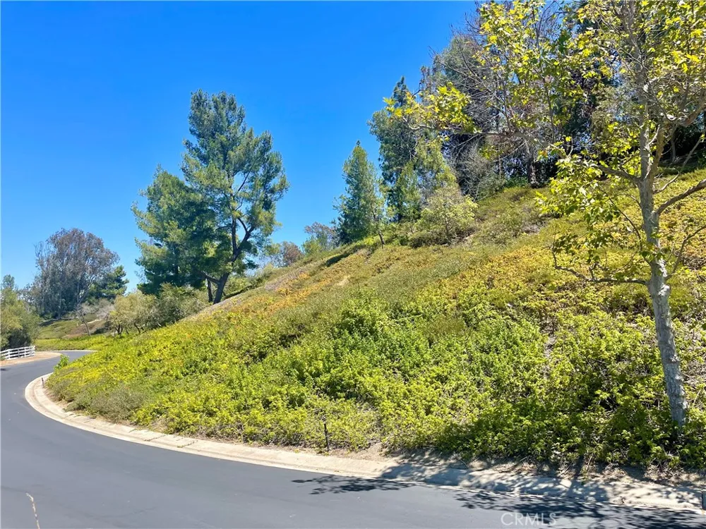 27591 Rolling Wood Lane San Juan Capistrano, CA 92675