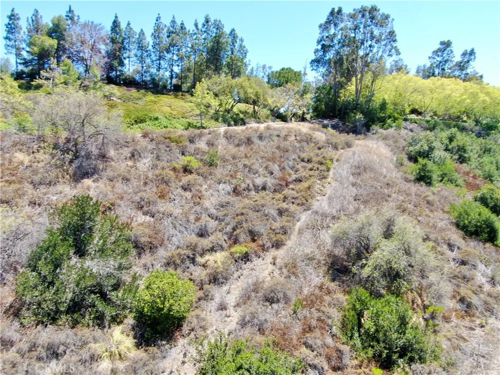 27591 Rolling Wood Lane San Juan Capistrano, CA 92675