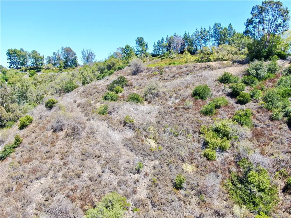 27591 Rolling Wood Lane San Juan Capistrano, CA 92675