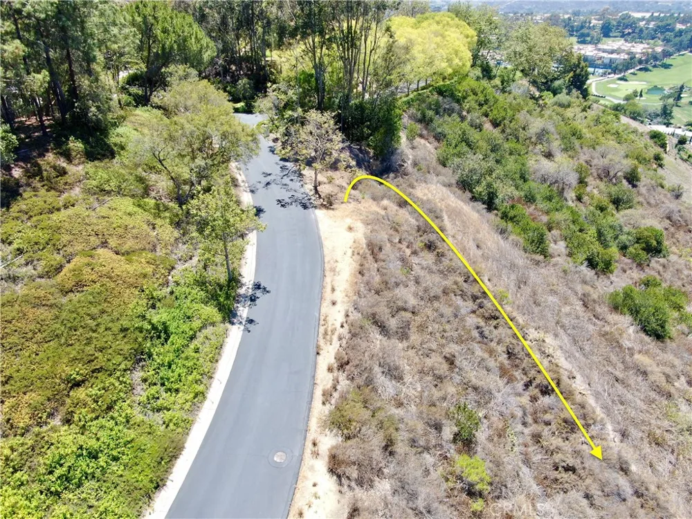27591 Rolling Wood Lane San Juan Capistrano, CA 92675