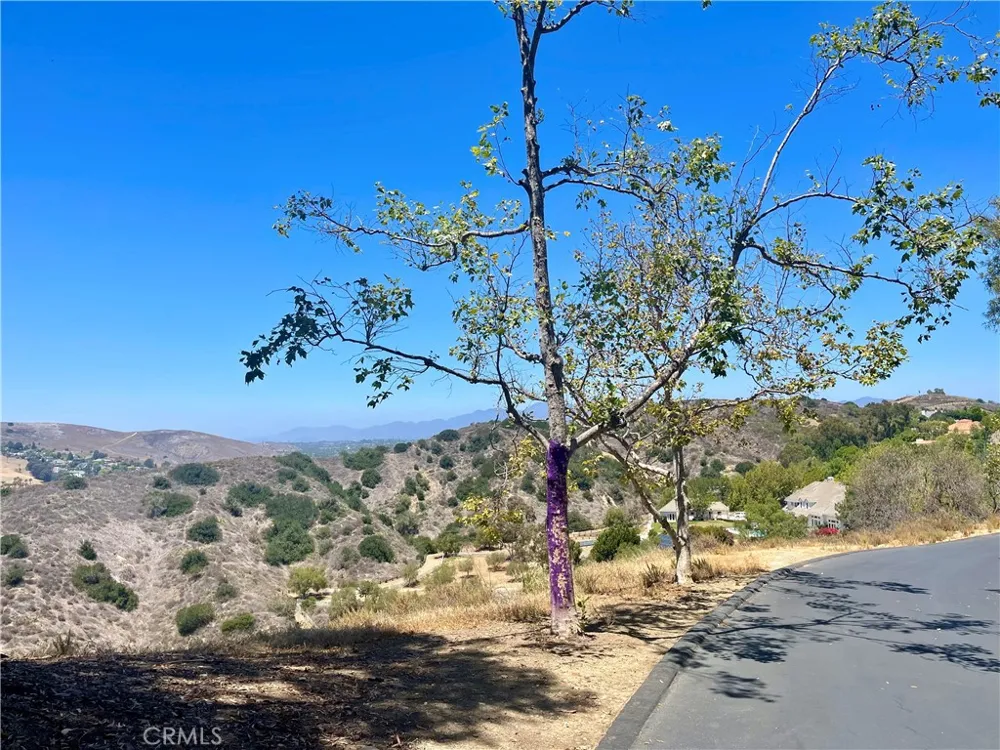 27591 Rolling Wood Lane San Juan Capistrano, CA 92675