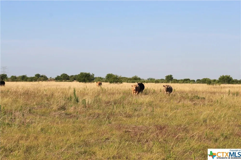 Fm 1978 San Marcos, TX 78666